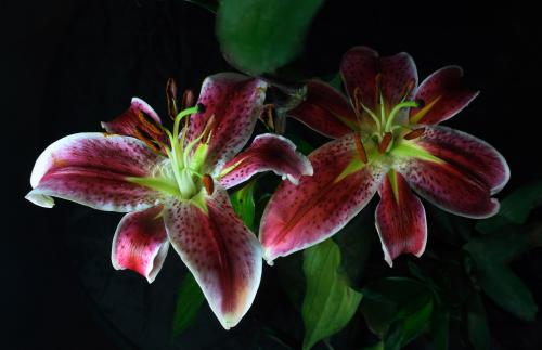 س̨仧żͷʲôźţ